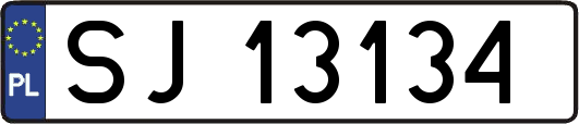 SJ13134