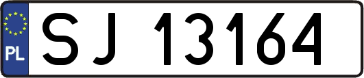 SJ13164