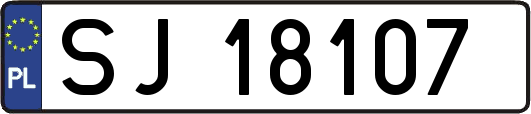 SJ18107