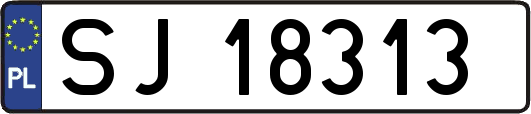 SJ18313