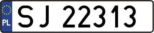 SJ22313