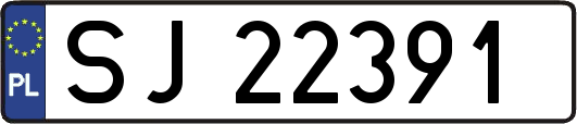 SJ22391