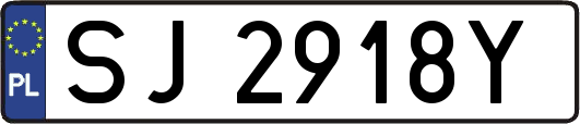 SJ2918Y