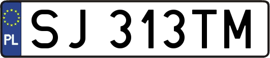 SJ313TM