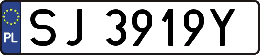 SJ3919Y