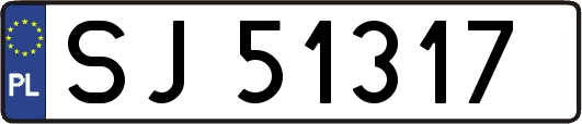 SJ51317