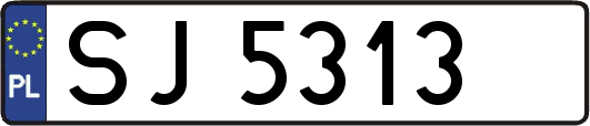 SJ5313