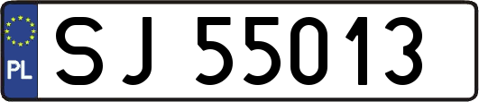 SJ55013