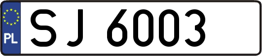 SJ6003