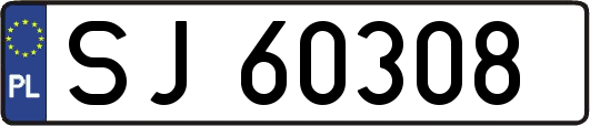 SJ60308