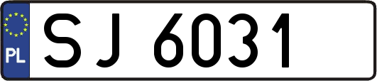SJ6031