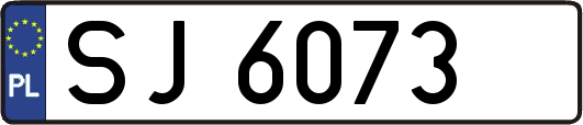 SJ6073