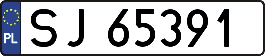 SJ65391