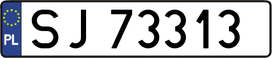 SJ73313