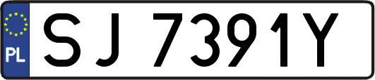 SJ7391Y