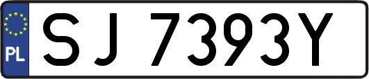 SJ7393Y