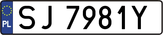 SJ7981Y