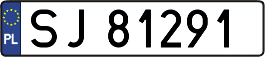 SJ81291