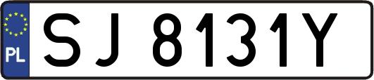 SJ8131Y