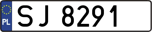 SJ8291