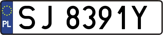 SJ8391Y