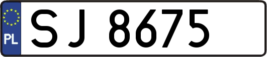 SJ8675