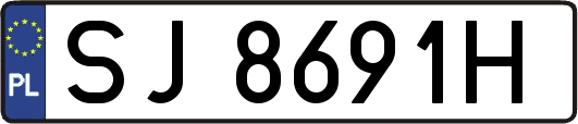 SJ8691H