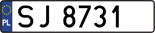 SJ8731