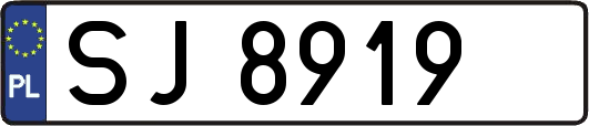 SJ8919