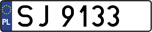 SJ9133