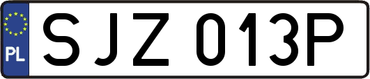 SJZ013P