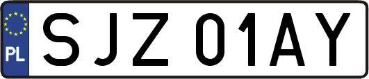 SJZ01AY