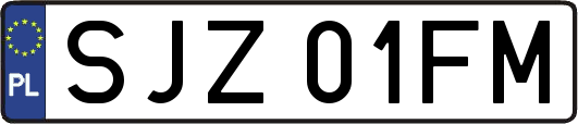SJZ01FM