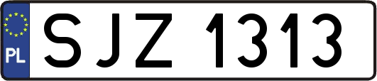 SJZ1313