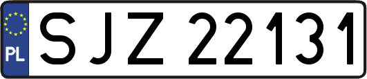 SJZ22131