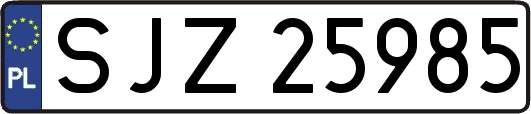 SJZ25985