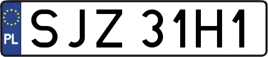 SJZ31H1