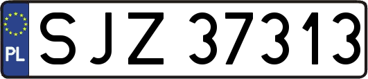 SJZ37313