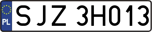 SJZ3H013