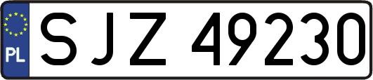 SJZ49230