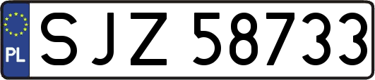 SJZ58733