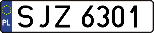 SJZ6301