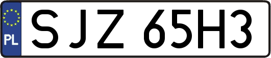 SJZ65H3