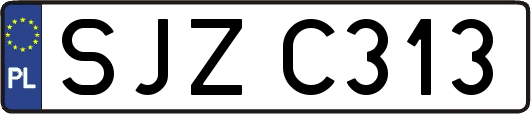 SJZC313