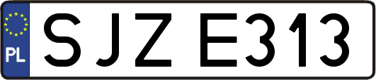 SJZE313