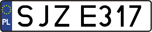 SJZE317
