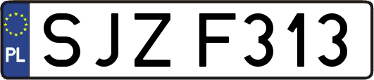 SJZF313