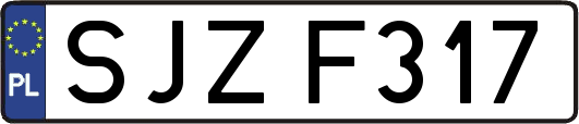 SJZF317
