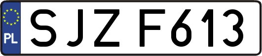 SJZF613