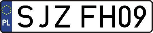 SJZFH09